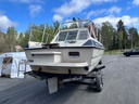 Delphin 740 + Volvo Penta TAMD31A