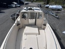 Delphin 740 + Volvo Penta TAMD31A