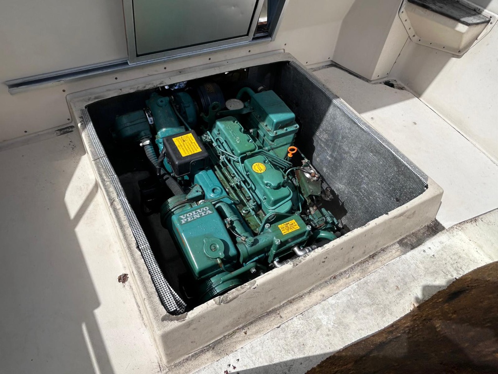 Delphin 740 + Volvo Penta TAMD31A